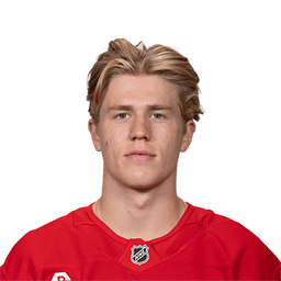 Michael Brandsegg-Nygård