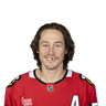 Tyler Bertuzzi