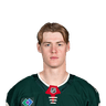 Viking Gustafsson Nyberg
