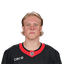Fabian Zetterlund