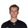 Ville Ottavainen